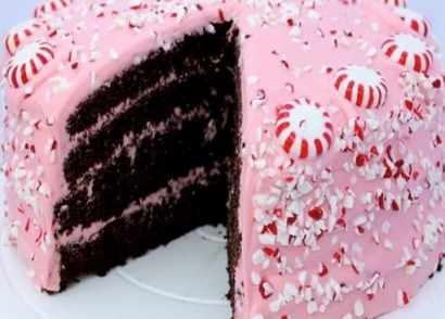 Chocolate Fudge and Peppermint Cream Cheese Frosting Cake